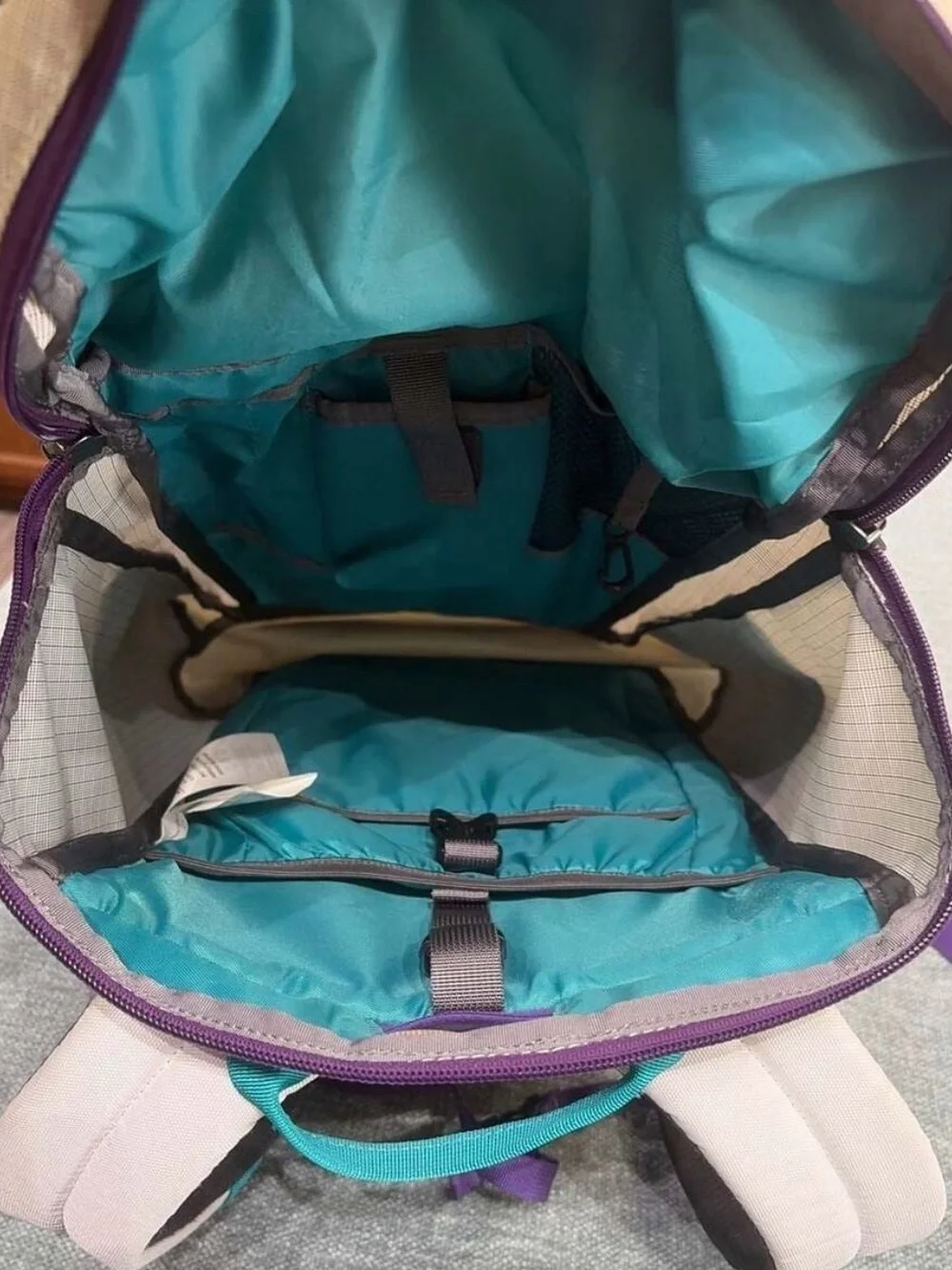 Retired Patagonia White Backpack with Purple & Teal Accents